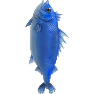 Modrá ryba – Ice Fish
