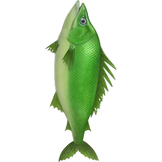 Zelená ryba – Ice Fish