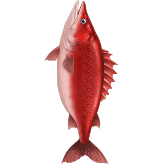 Červená ryba – Ice Fish
