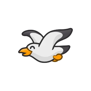Racek – Pengu Sport