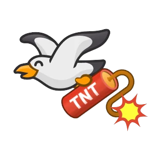 Racek s TNT – Pengu Sport